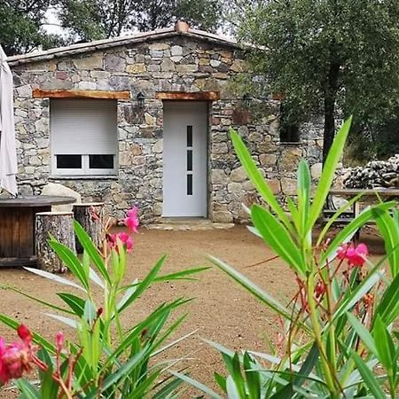 Domaine Rondini Hotel Moltifao Luaran gambar