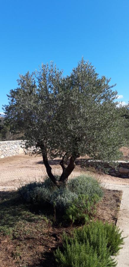 Domaine Rondini Hotel Moltifao Luaran gambar